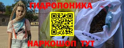 прущие грибы Краснознаменск