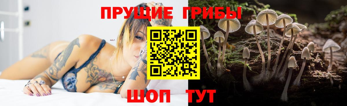 где можно купить   Вход с VPN  Верхняя Салда  Галлюциногенные грибы прущие грибы 